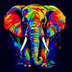 Elephant  – 18.01.2025. (20:00)