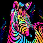 Zebra – 22.03.2025. (20:00)